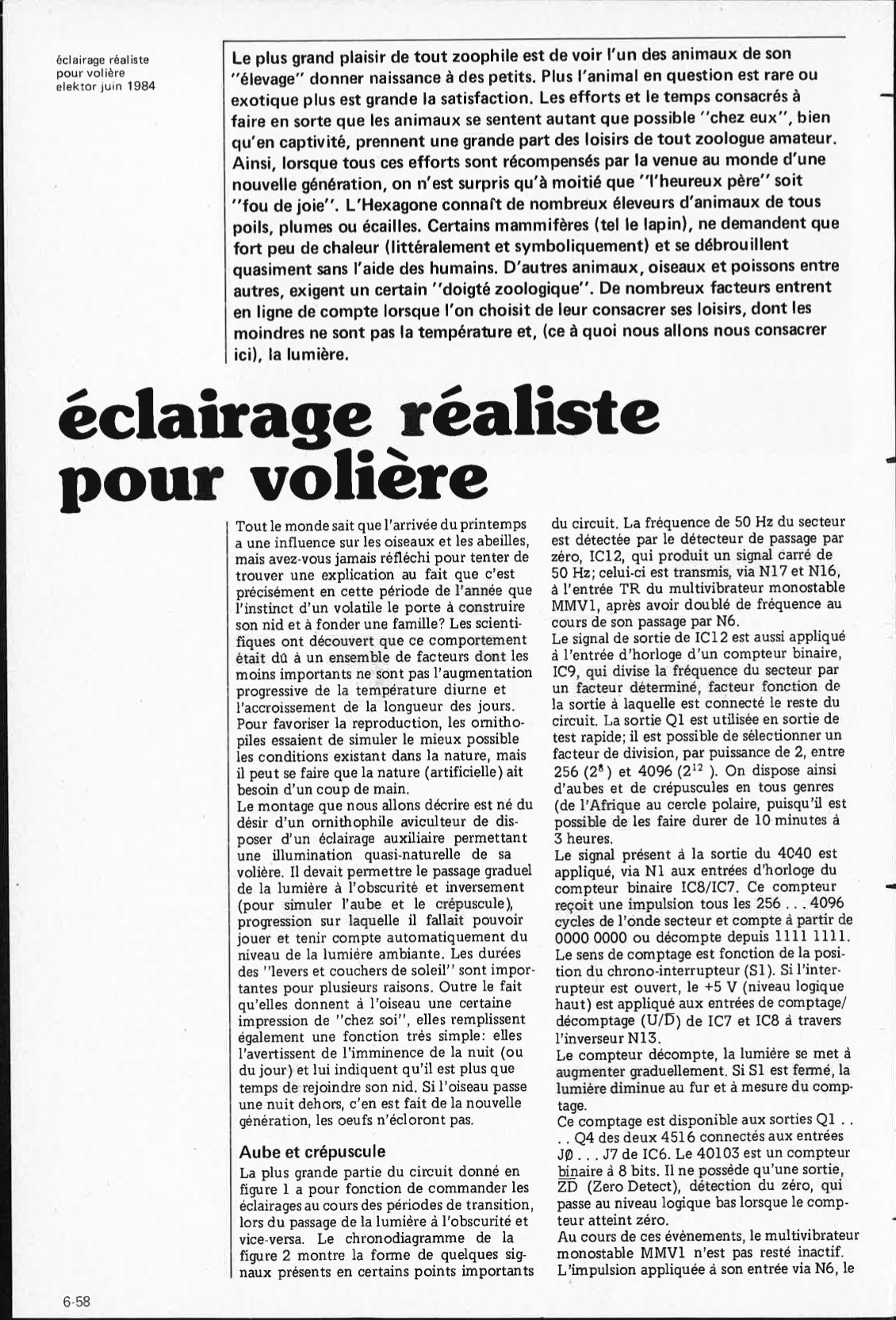 éclairage réaliste pour volière